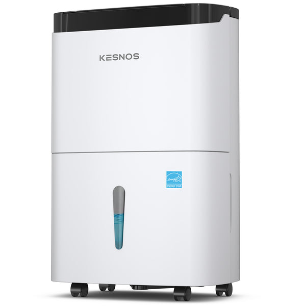 Home Dehumidifier Ideal Dampness Solutions Kesnos