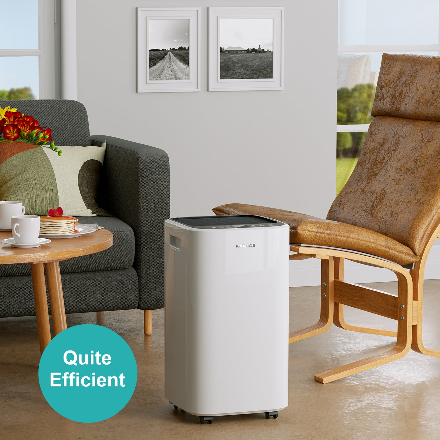 34 Pints Home Dehumidifier | 2,000 Sq. Ft. Space | Water Tank & Hose Included | Basement Dehumidifier