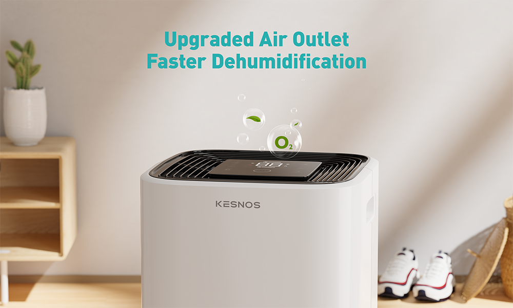 Enjoy the dryness and fresh air with whole house dehumidifier