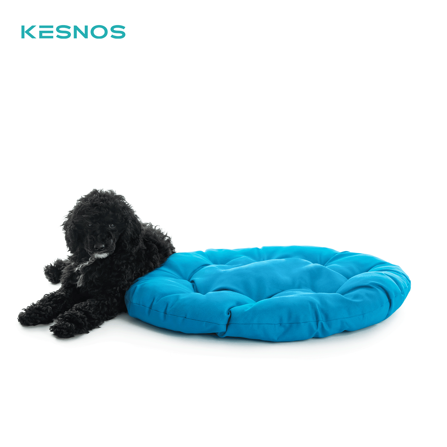 Pet Cushions