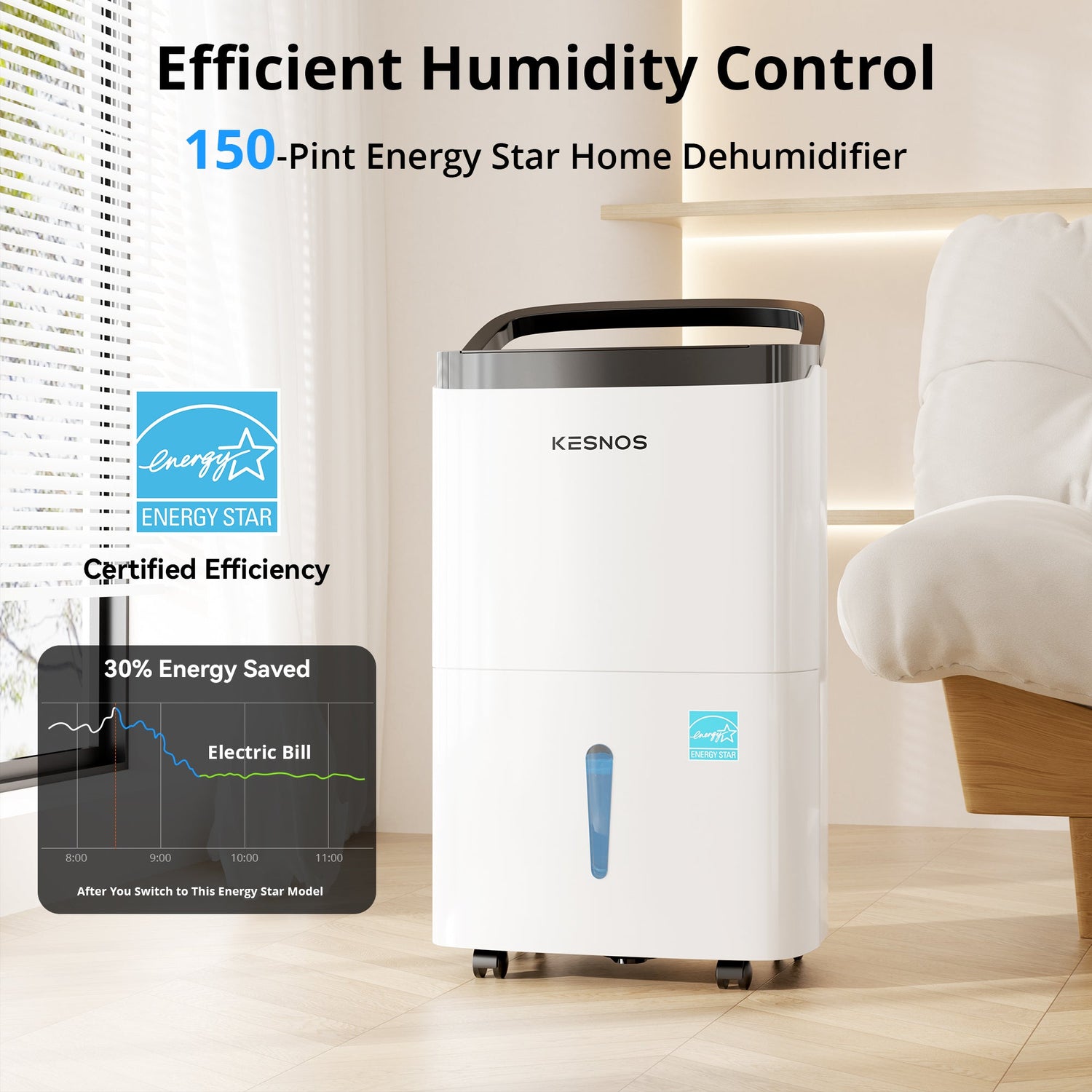 Best-Seller Dehumidifier Collection