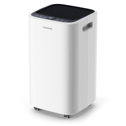 2500 Sq. Ft. Dehumidifier for Home with Drain Hose & 0.6 Gal Tank - Low Noise, Touch Control & 24 Hr Timer for Basements, Bedrooms & Laundry