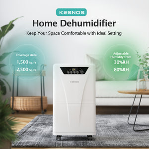 2500 Sq. Ft Large Dehumidifier for Home and Basement with 6.56ft Drain Hose and Front Water Tank, 24Hr Timer and Auto Defrost Ideal for Large and Medium Sized Rooms, Bedrooms, Laundry Rooms