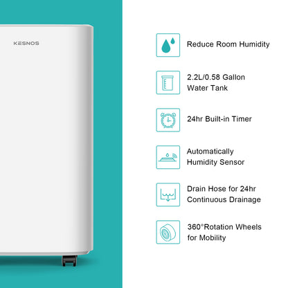 2500 Sq. Ft. Dehumidifier for Home with Drain Hose & 0.6 Gal Tank - Low Noise, Touch Control & 24 Hr Timer for Basements, Bedrooms & Laundry