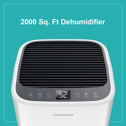 2500 Sq. Ft. Dehumidifier for Home with Drain Hose & 0.6 Gal Tank - Low Noise, Touch Control & 24 Hr Timer for Basements, Bedrooms & Laundry