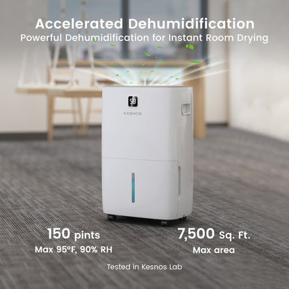 150 Pints Large Dehumidifier | 7,500 Sq. Ft. Coverage | ENERGY Efficient