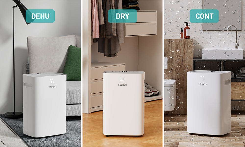 The Multi-functional Home Dehumidifier are Widely Used