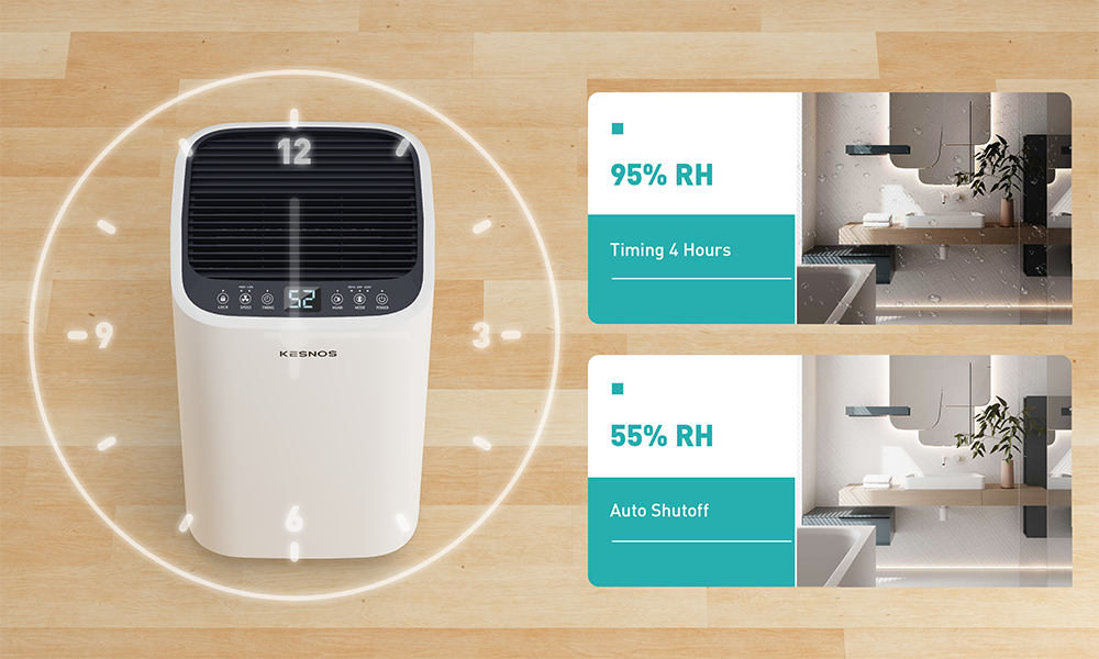 Programmable timer for more energy-efficient dehumidification