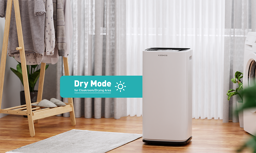 Dry clothes without worries when using this home dehumidifier